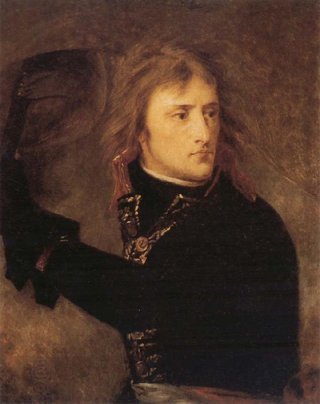 Baron Antoine-Jean Gros Napoleon at Arcola China oil painting art